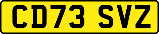 CD73SVZ
