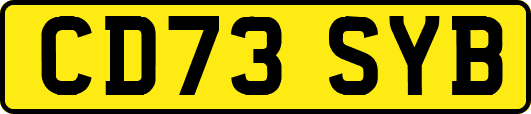 CD73SYB