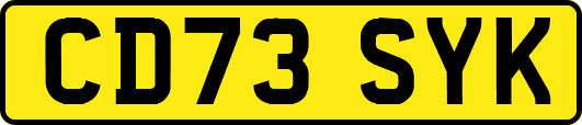 CD73SYK
