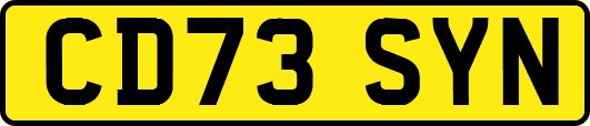 CD73SYN