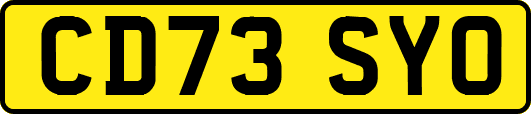 CD73SYO