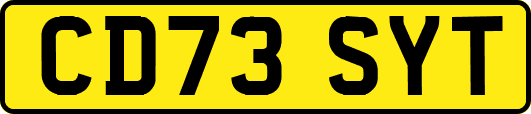 CD73SYT