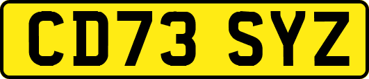 CD73SYZ