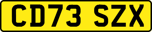 CD73SZX