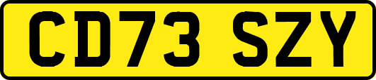 CD73SZY