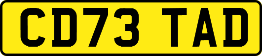 CD73TAD