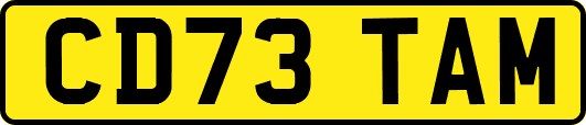 CD73TAM