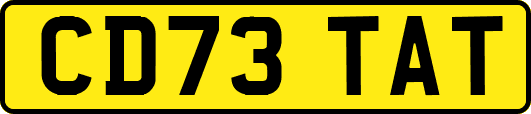 CD73TAT