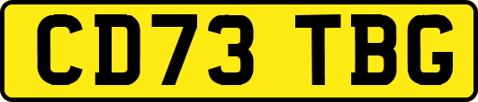 CD73TBG