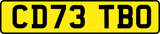 CD73TBO