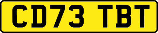 CD73TBT