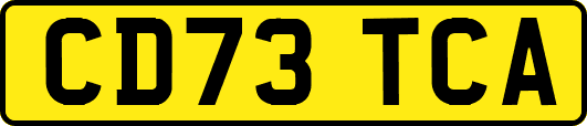 CD73TCA