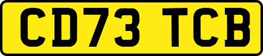 CD73TCB