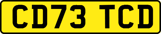 CD73TCD
