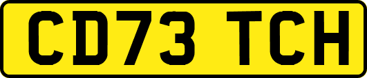 CD73TCH
