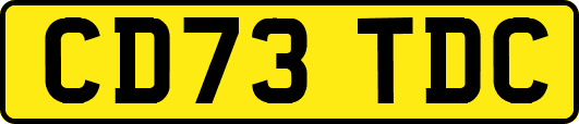 CD73TDC