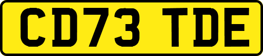 CD73TDE