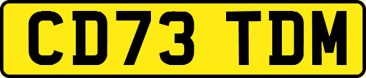 CD73TDM