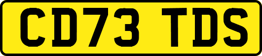 CD73TDS