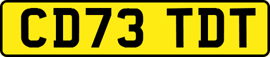 CD73TDT