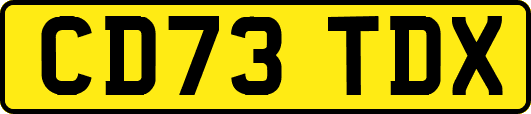 CD73TDX