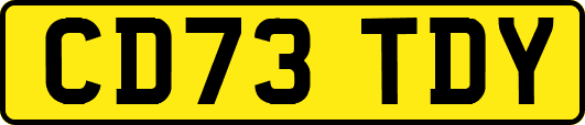 CD73TDY