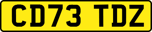 CD73TDZ
