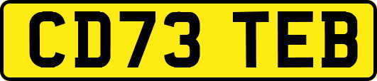 CD73TEB