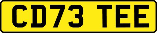 CD73TEE