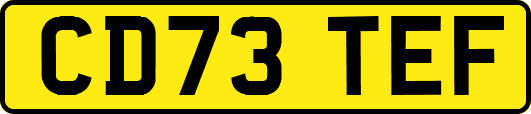 CD73TEF