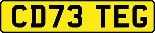 CD73TEG