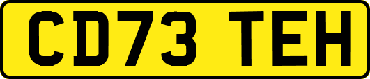 CD73TEH