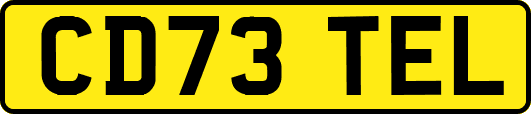 CD73TEL