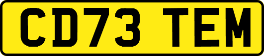 CD73TEM