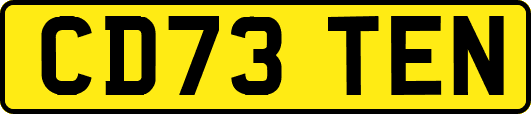 CD73TEN