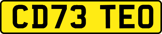 CD73TEO