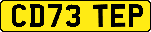 CD73TEP