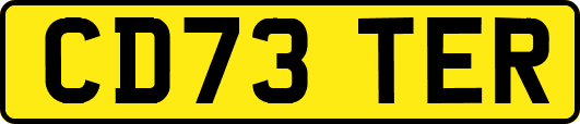 CD73TER