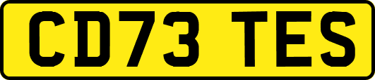 CD73TES