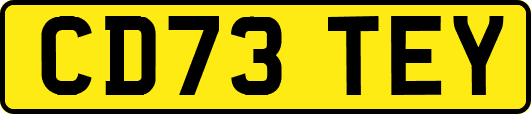 CD73TEY