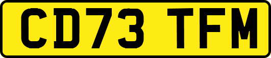 CD73TFM