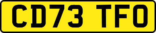 CD73TFO