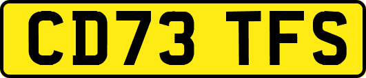 CD73TFS