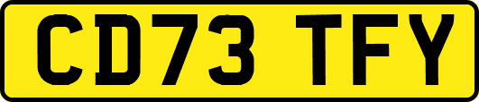CD73TFY
