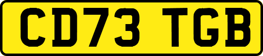 CD73TGB