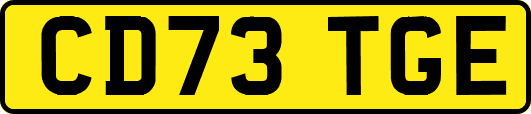 CD73TGE