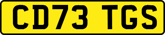 CD73TGS