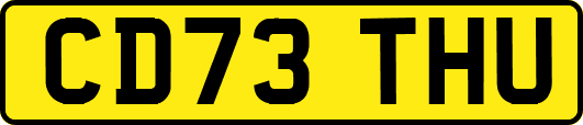 CD73THU