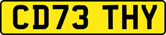 CD73THY