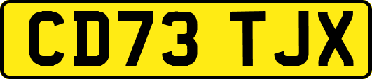 CD73TJX